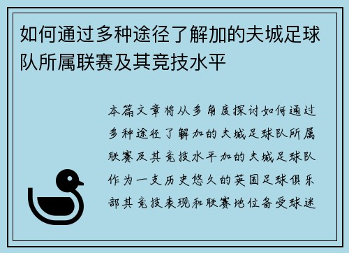 如何通过多种途径了解加的夫城足球队所属联赛及其竞技水平
